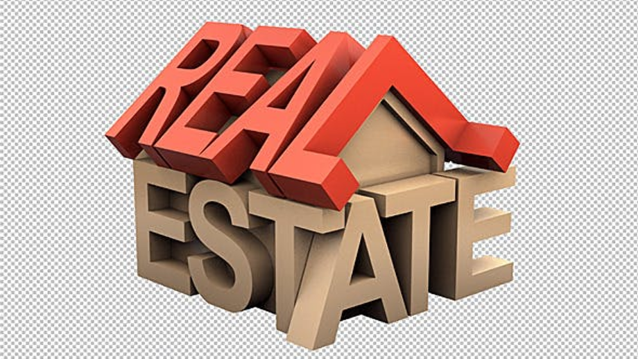 3d logo real estate