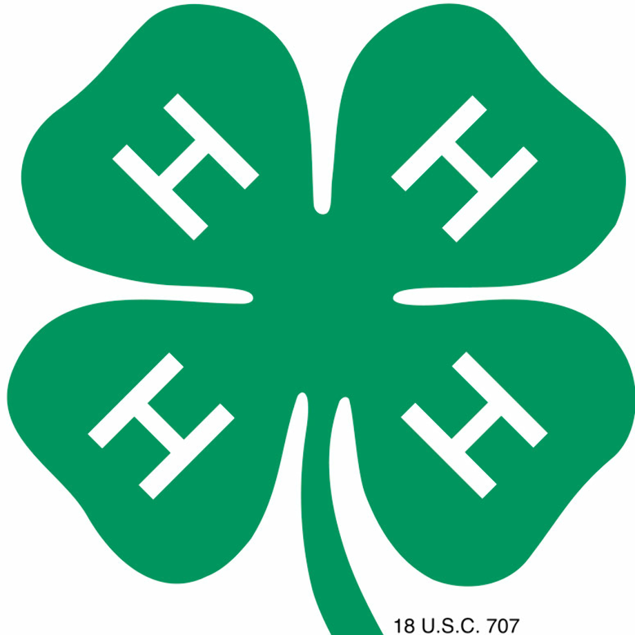 4-h logo clover
