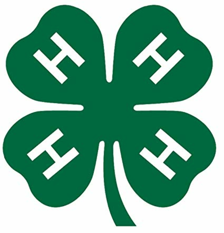 4-h logo banner