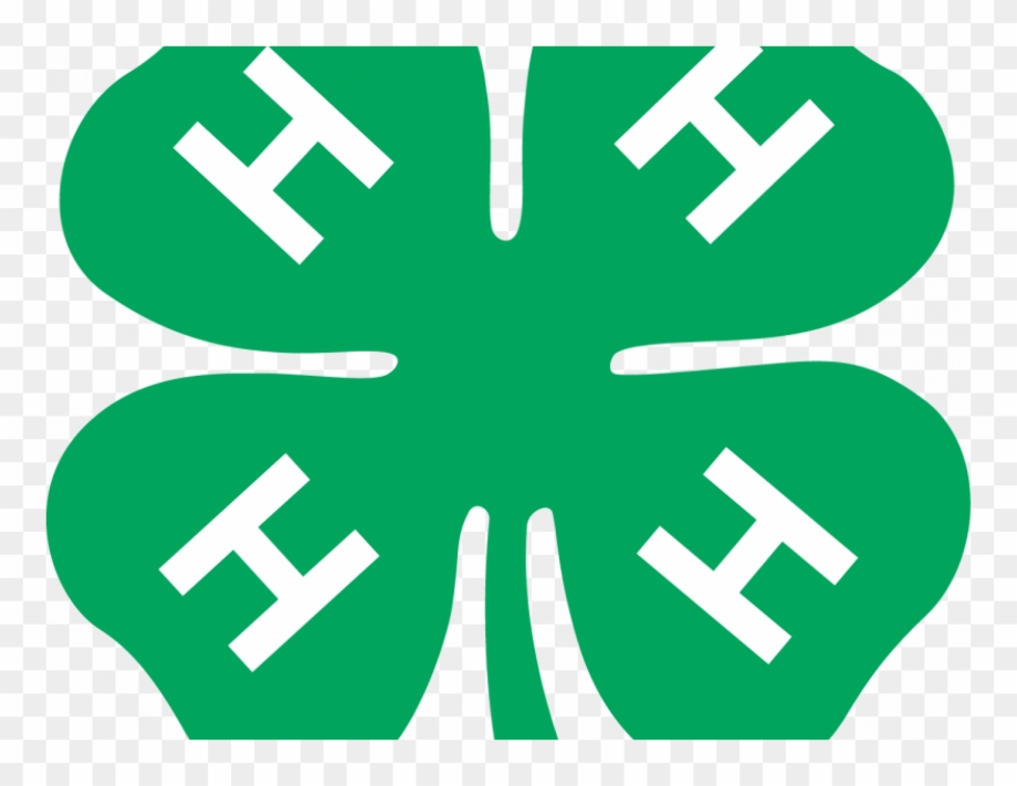 4-h logo transparent background