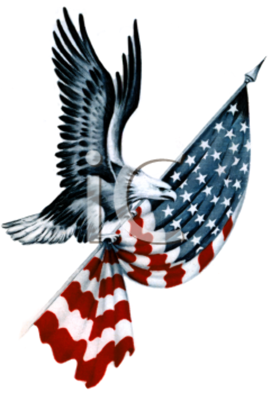 Download High Quality 4th of july clip art eagle Transparent PNG Images