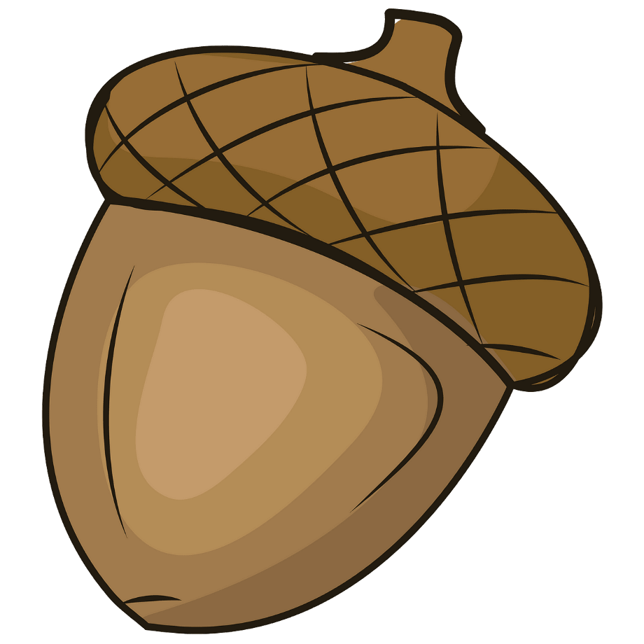 acorn clipart cartoon