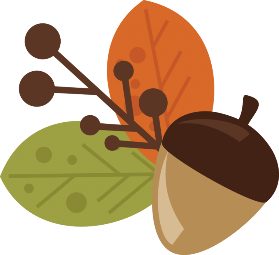 acorn clipart thanksgiving