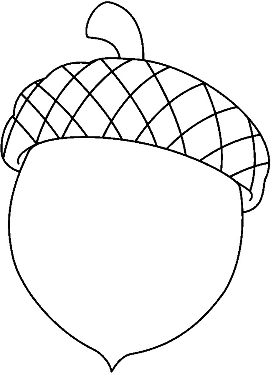 large acorn clipart image