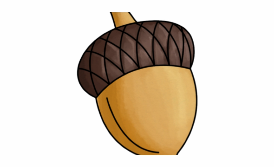 acorn clipart simple