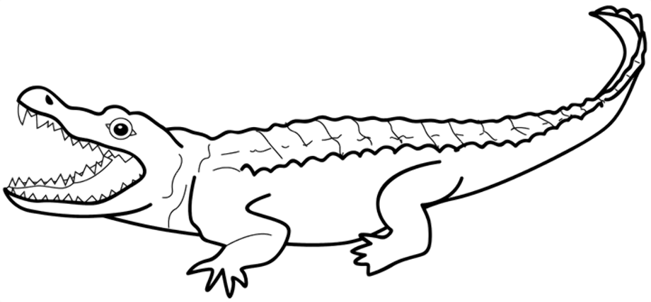 alligator clip art white