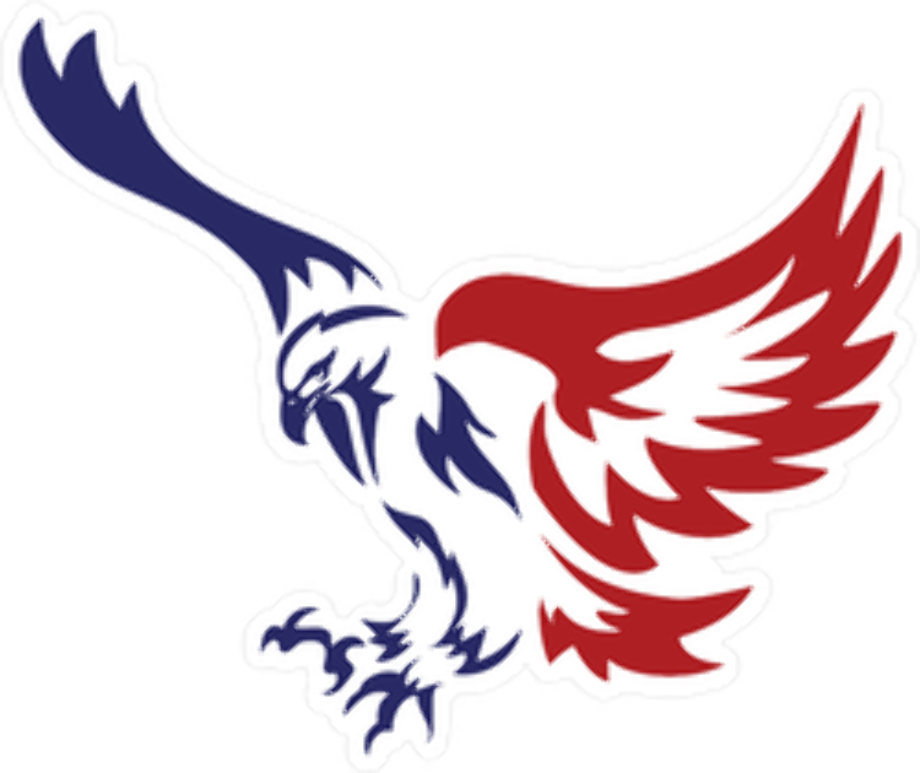 american eagle logo patriotic