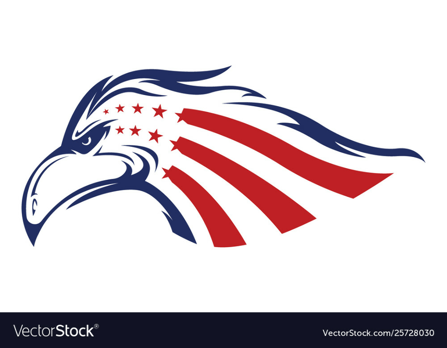 american eagle logo flag