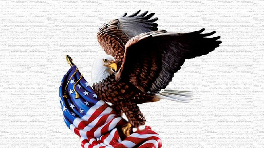Download High Quality american eagle logo wallpaper Transparent PNG ...