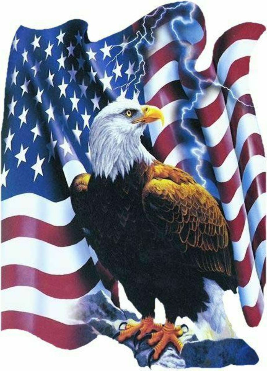 Patriotic eagle