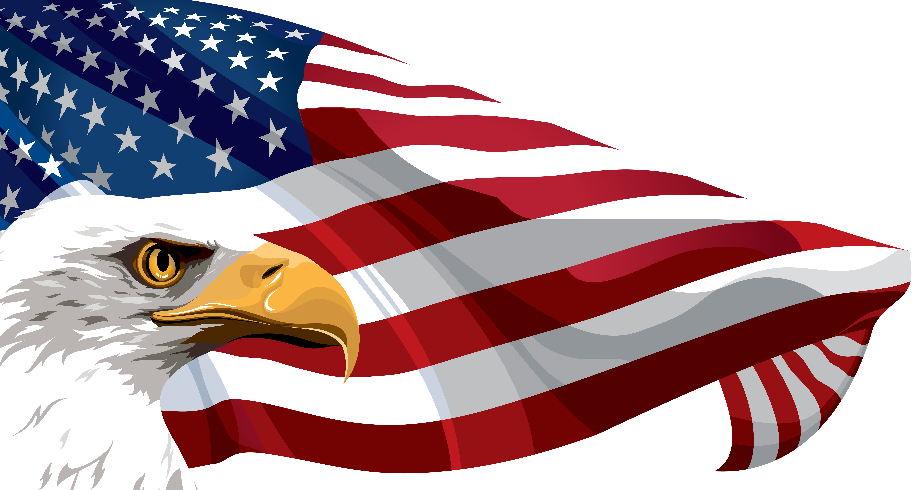 Download High Quality American Flag Clipart Eagle Transparent Png