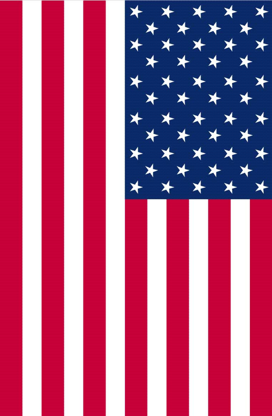 Download High Quality american flag clipart vertical Transparent PNG