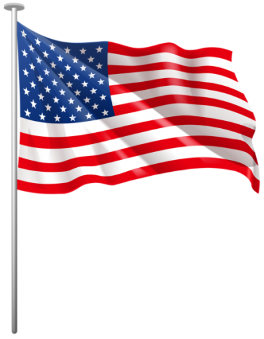 Download High Quality american flag transparent tiny Transparent PNG