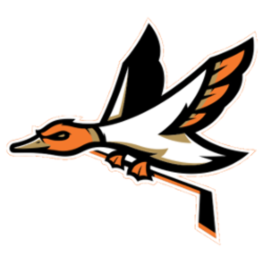 anaheim ducks logo redesigned