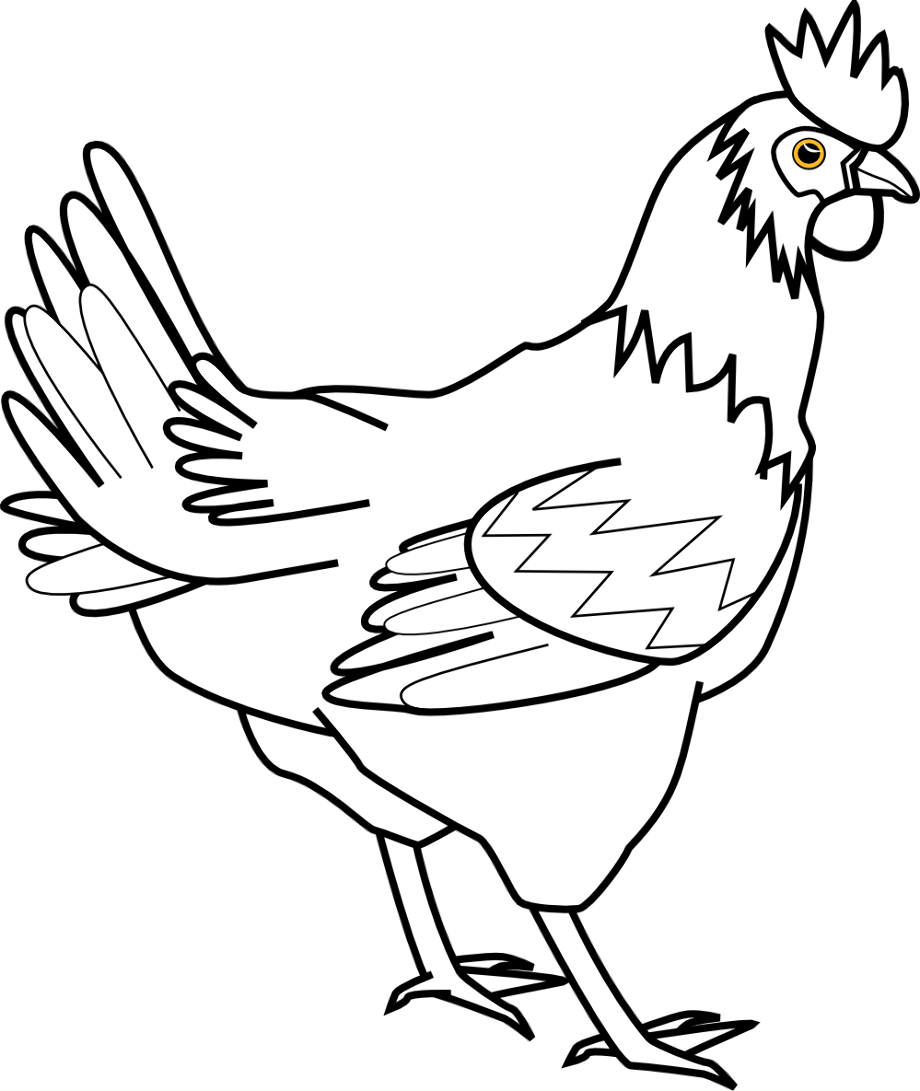 chicken clipart black and white coloring