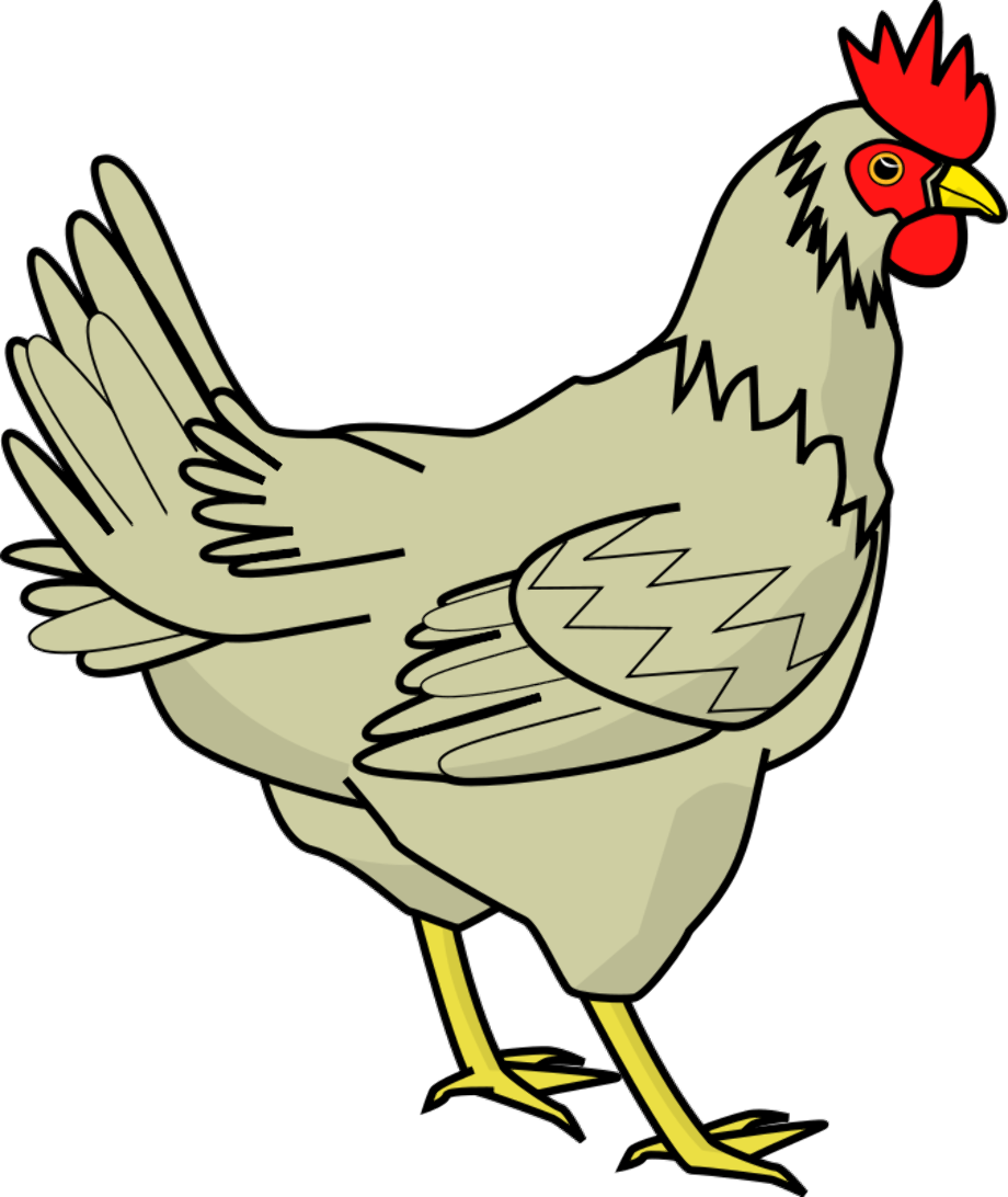 rooster clipart farm animal