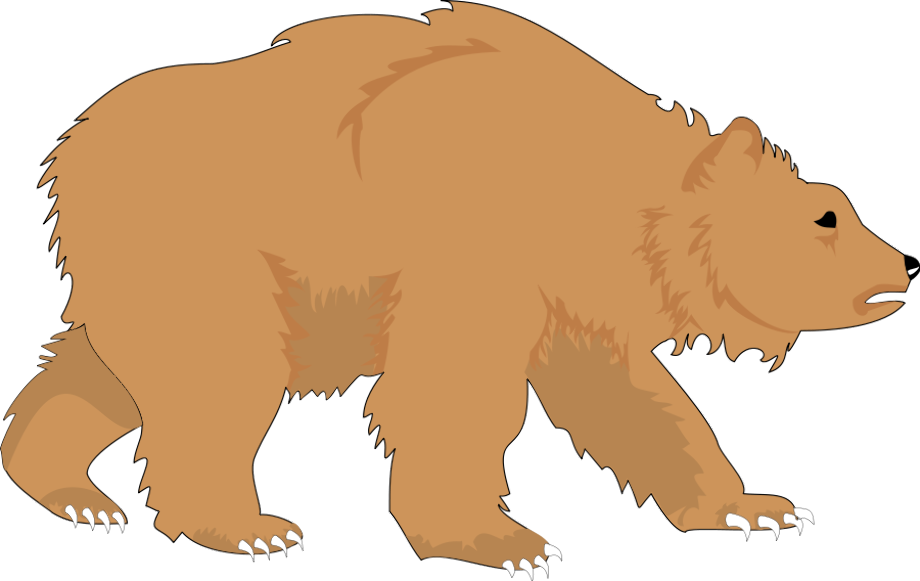 bear clipart grizzly