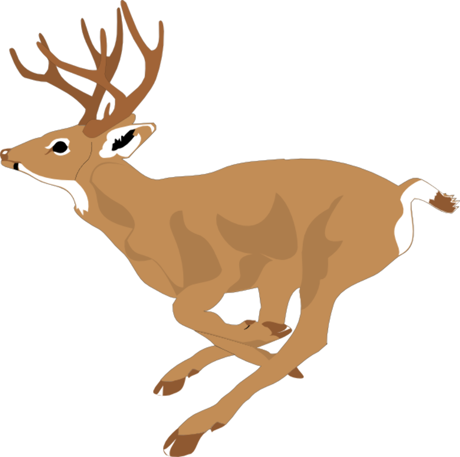 deer clipart running