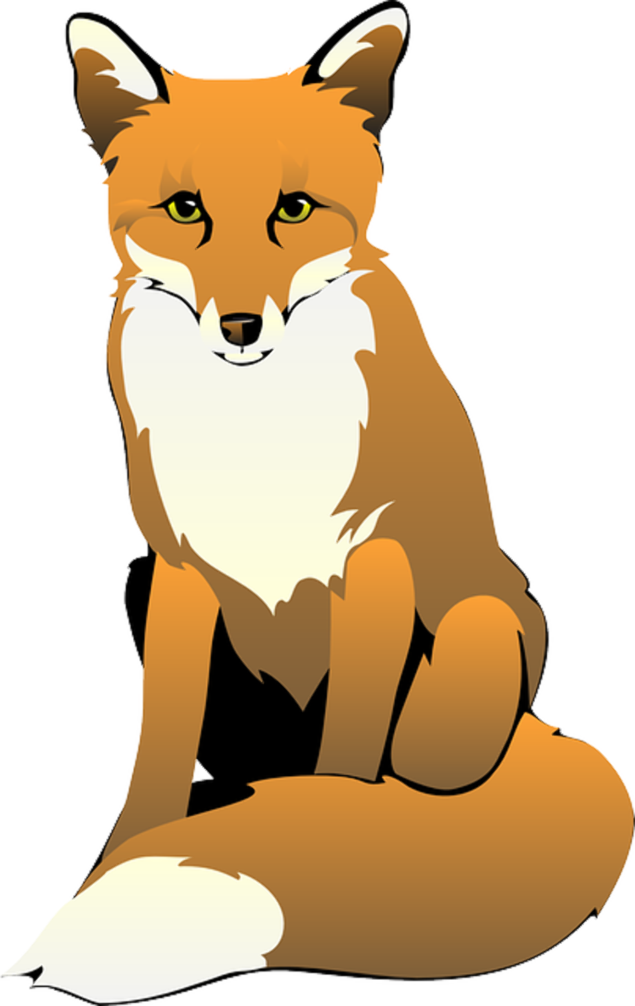 fox clipart drawing