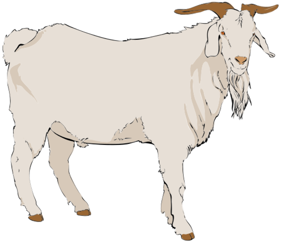 goat clipart realistic