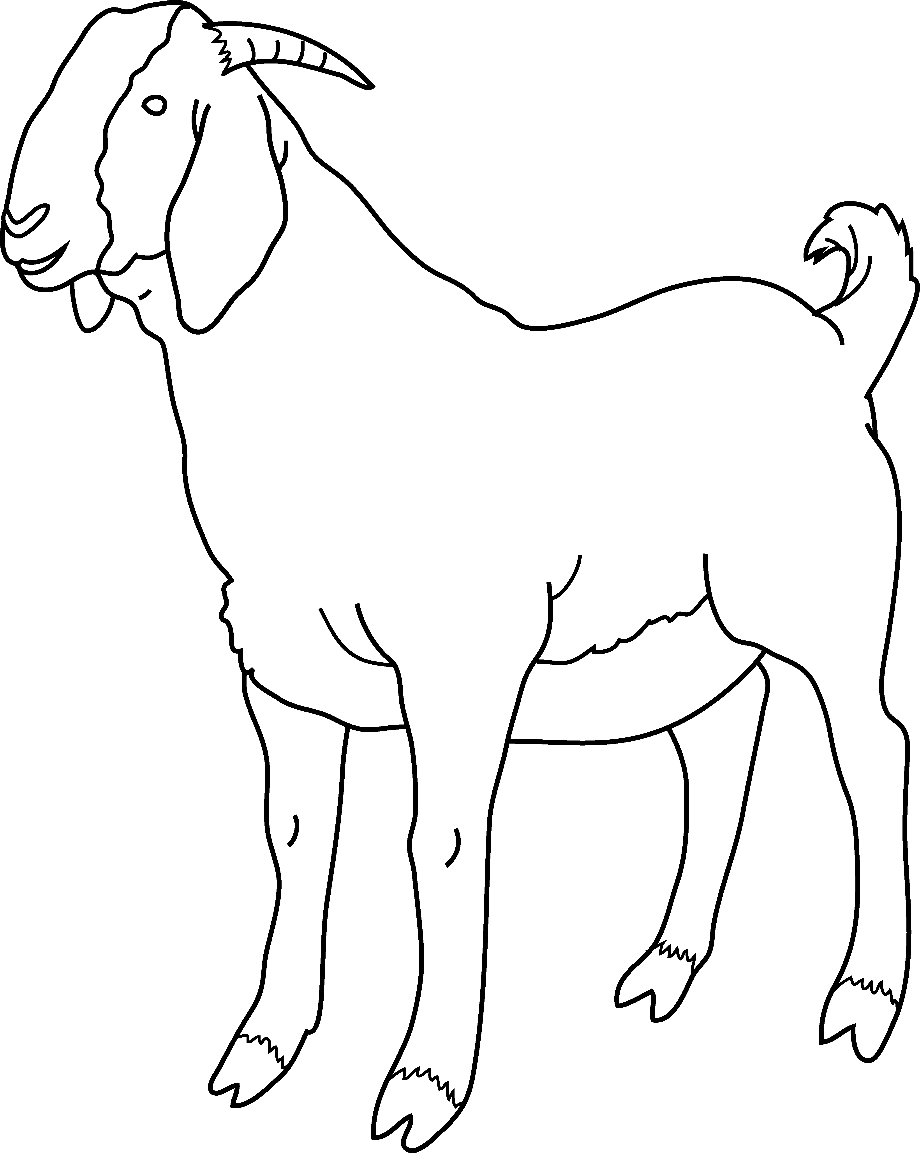 Animal clipart goat