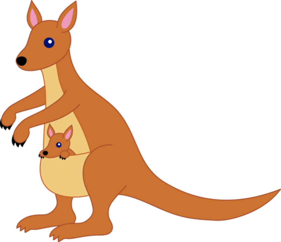 Download Download High Quality Animal clipart kangaroo Transparent ...