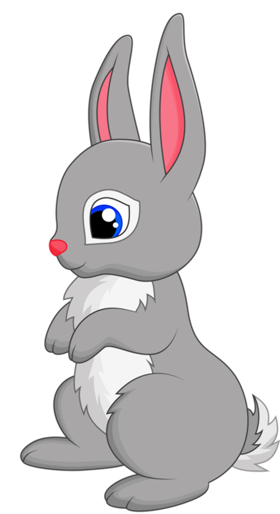 rabbit clipart animated