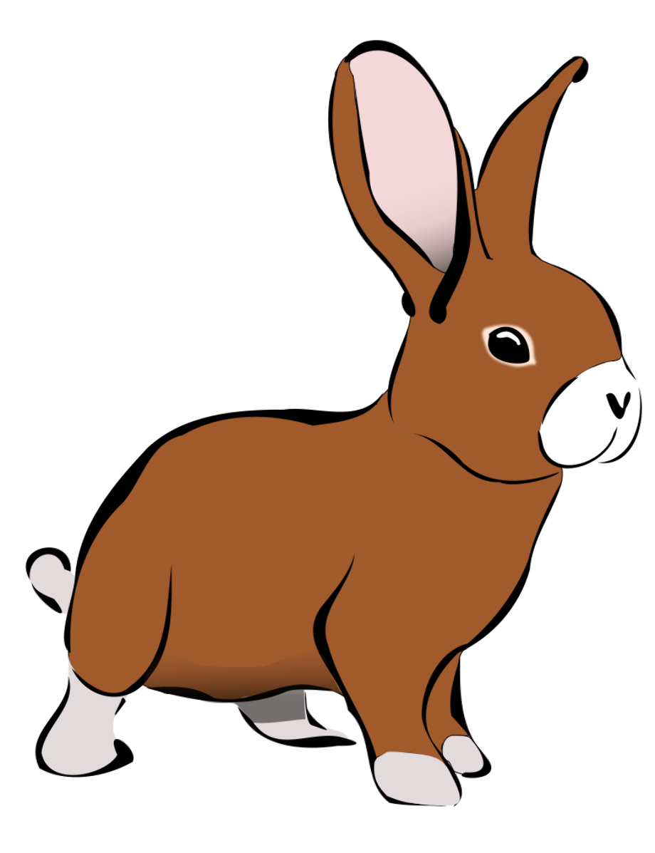 rabbit clipart brown