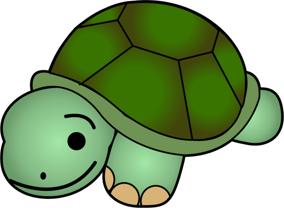 turtle clipart kid
