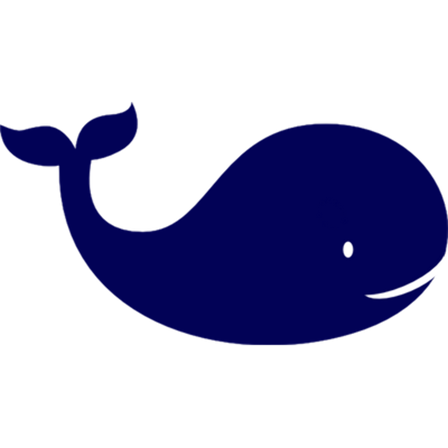 whale clipart transparent