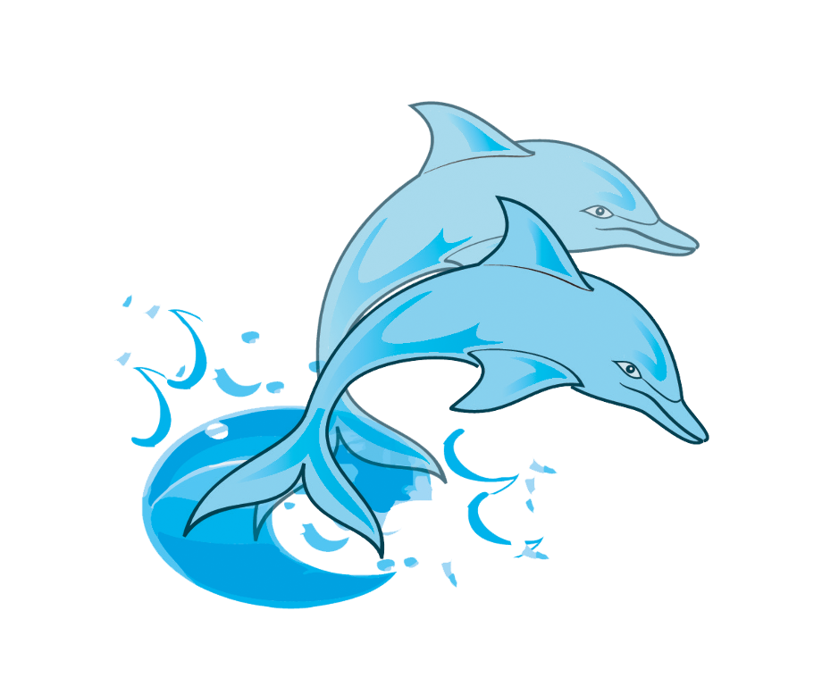 dolphin clipart real