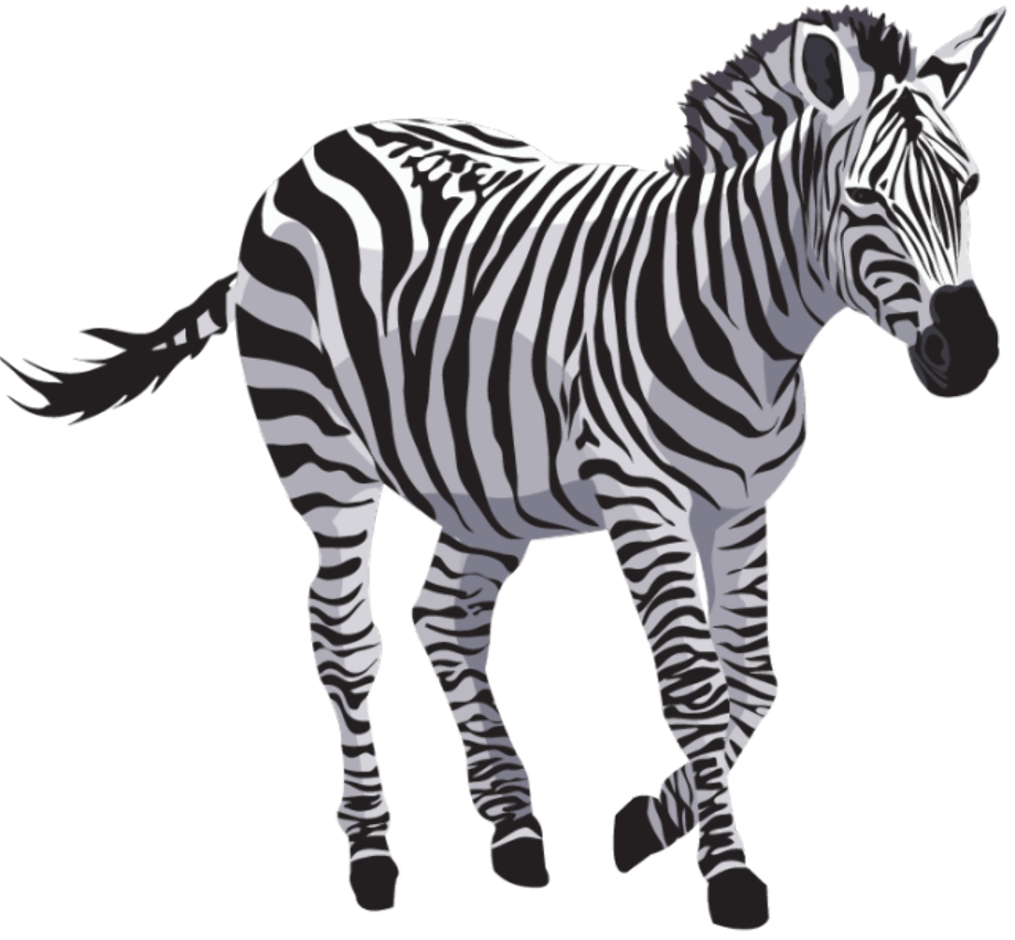 africa zebra clipart