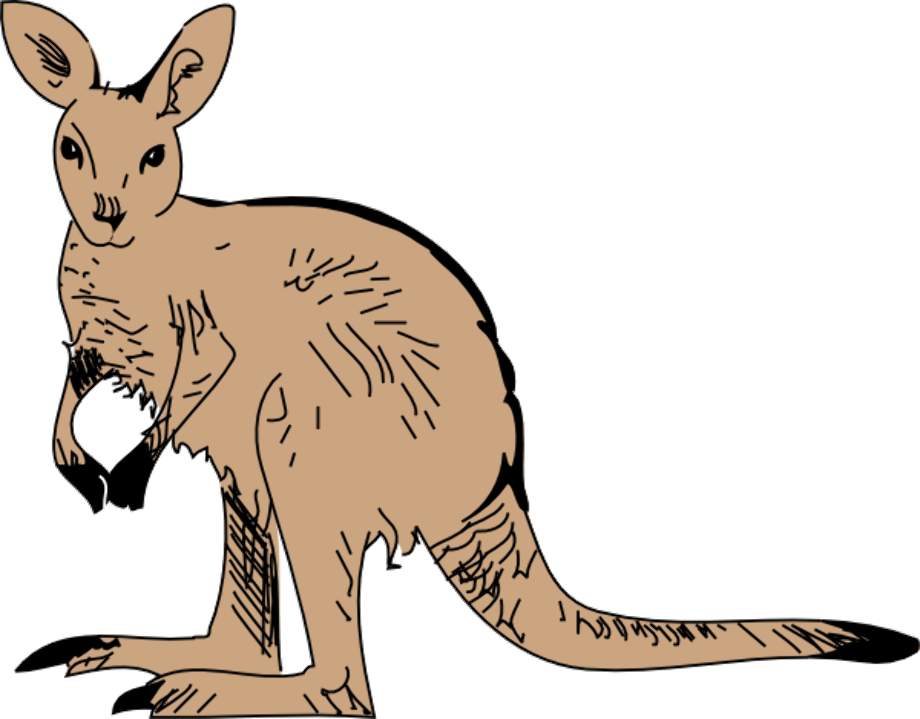 kangaroo clipart simple