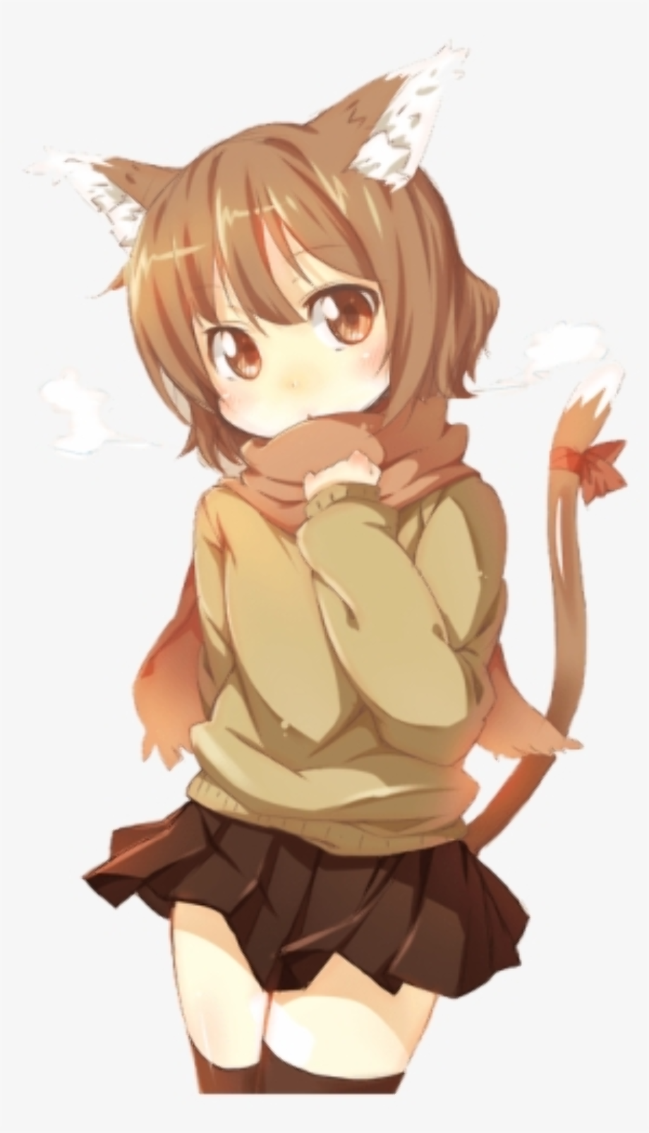 Download High Quality anime transparent cat girl Transparent PNG Images