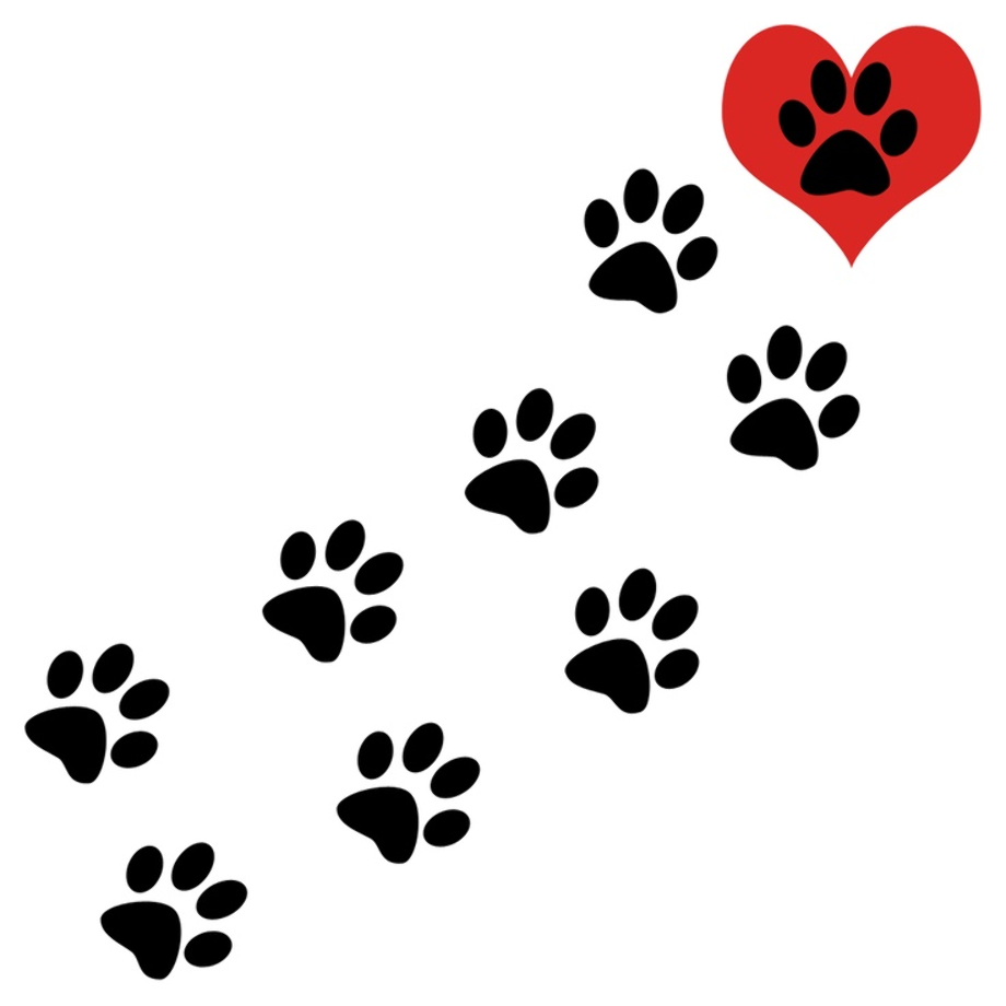 dog paw print art ideas