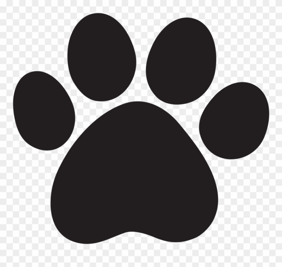 paw clipart transparent background