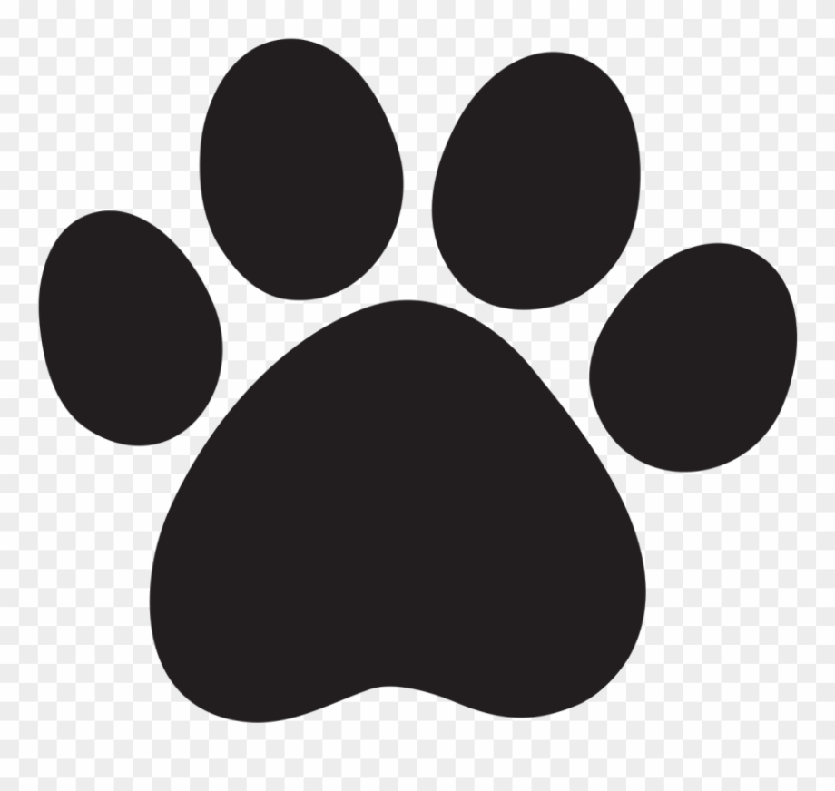 paw prints clipart transparent