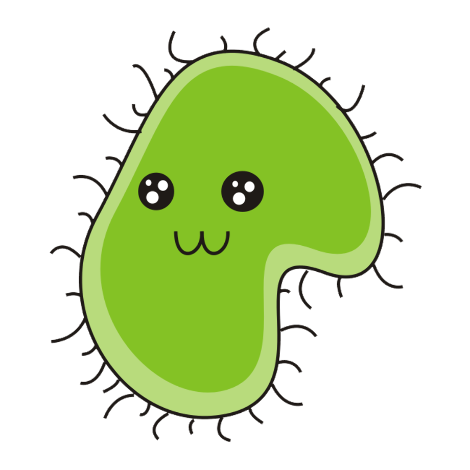 bacteria clipart clear background