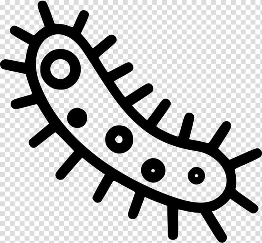 Download High Quality Bacteria Clipart Science Transparent Png Images