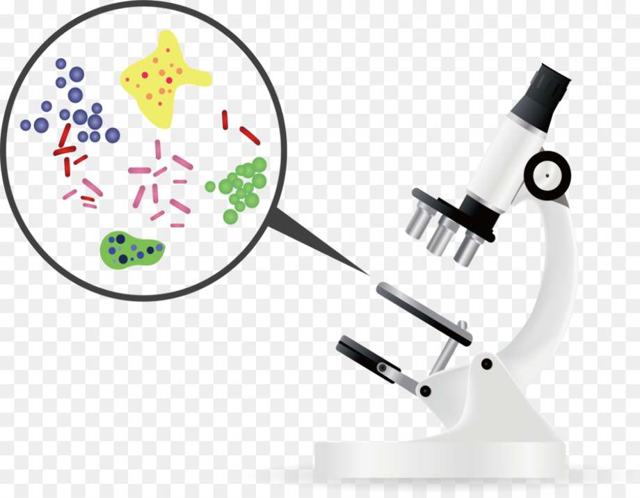 Download High Quality bacteria clipart microscope Transparent PNG