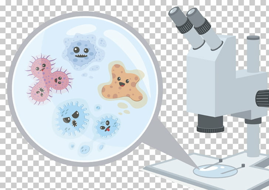 Download High Quality bacteria clipart microscope Transparent PNG