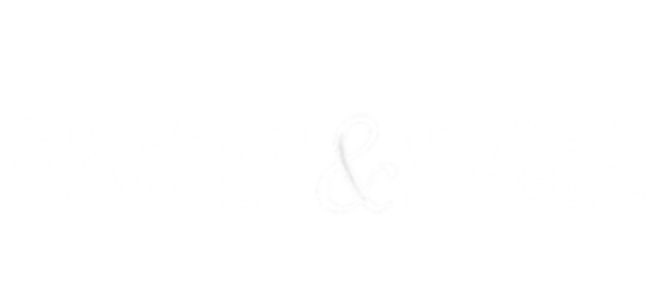 barnes and noble logo white