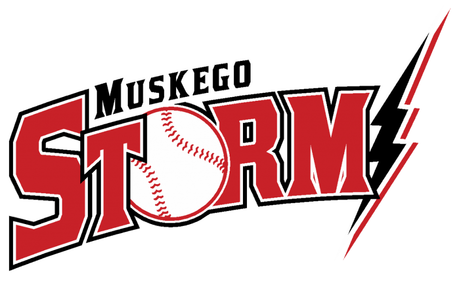 baseball logo storm