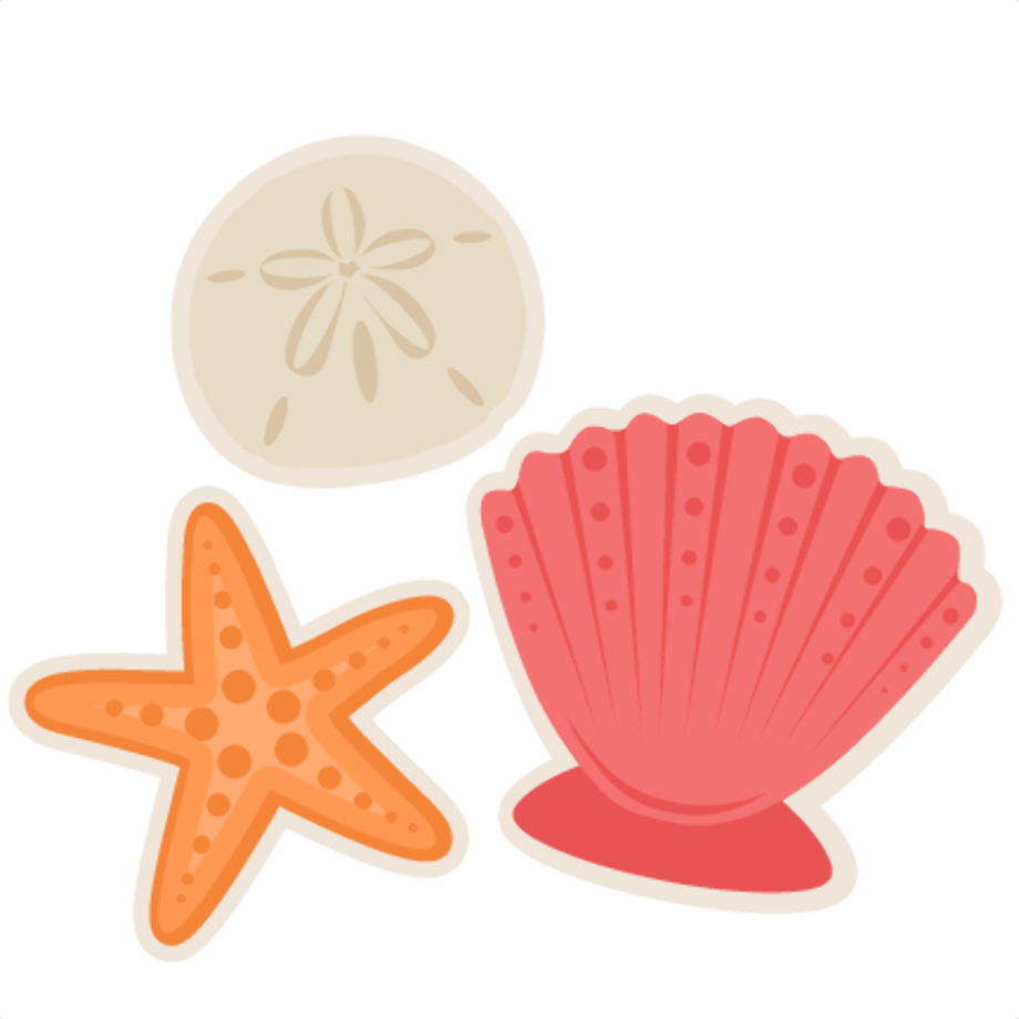 beach clip art seashell