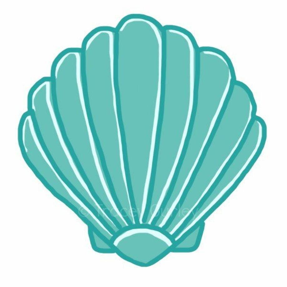 beach clipart seashell