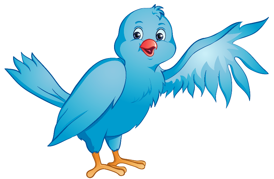 parrot clipart blue