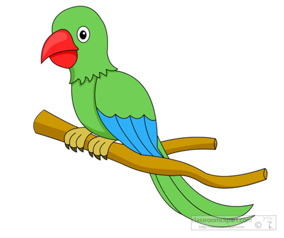parrot clipart green