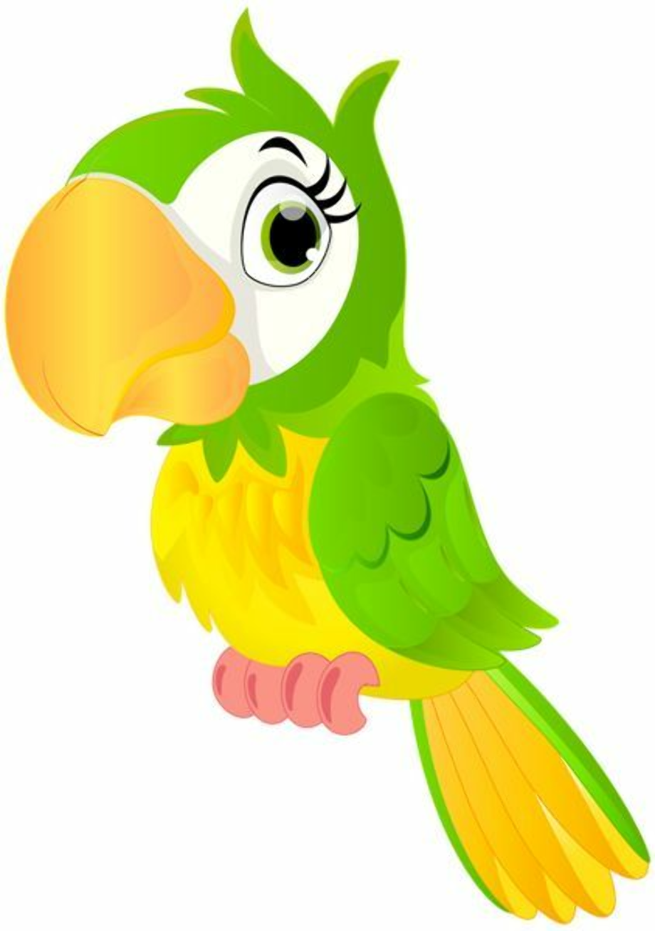 parrot clipart cute
