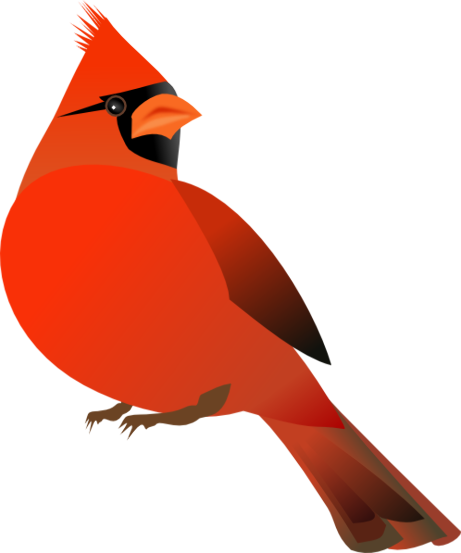 cardinal clipart