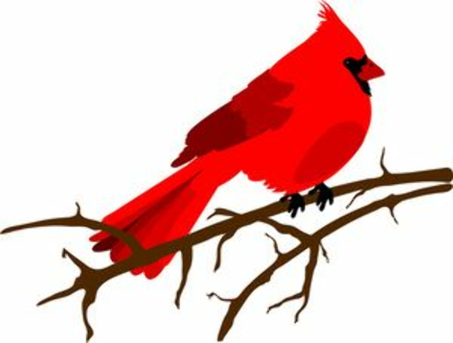 cardinal clipart simple